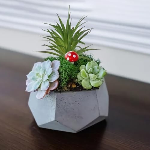 Artificial Succulents Plants 2PCS, Faux Succulents Unpotted Yucca Fake