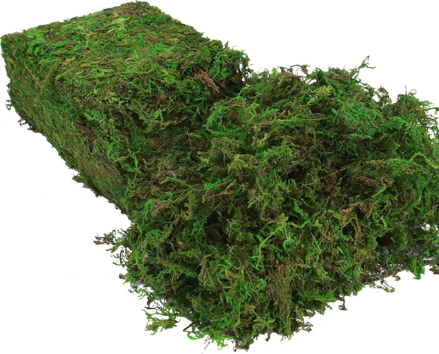 Artificial Fake Moss for Plants Indoor, 16OZ Green Moss for Crafts for Faux P…