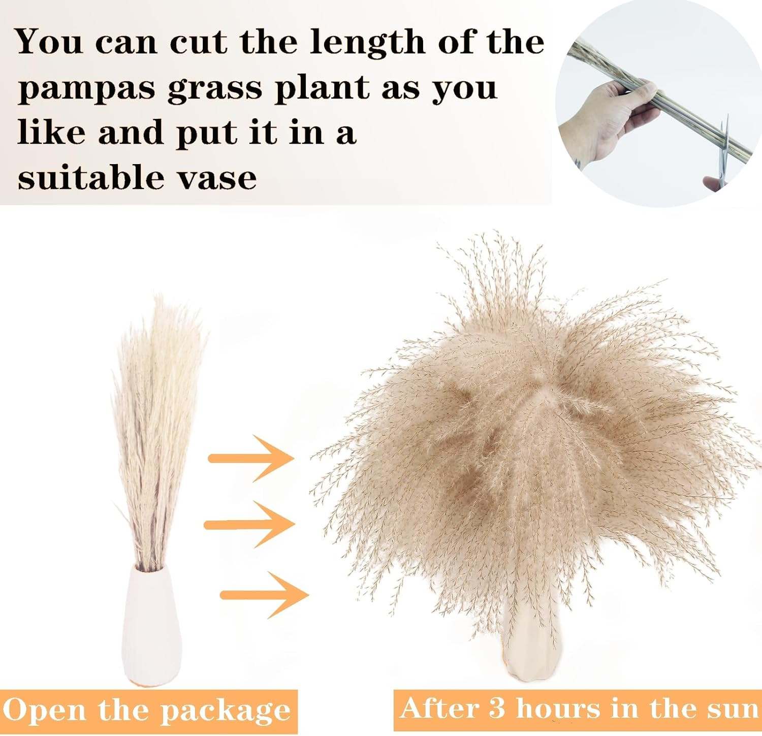 Dried Pampas Grass Decor, 120 PCS Pampas Grass with Bunny Tails Dried Flowers, R