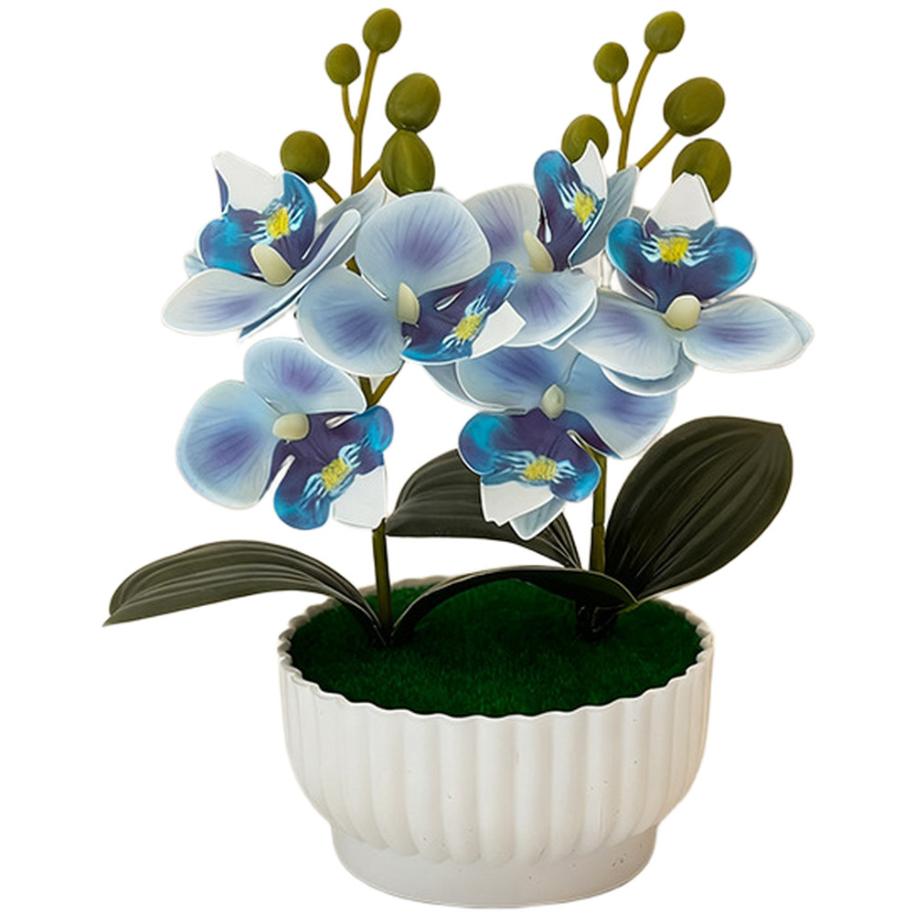 Phalaenopsis Orchid Simulation Potted Flower for Contemporary Interior Design