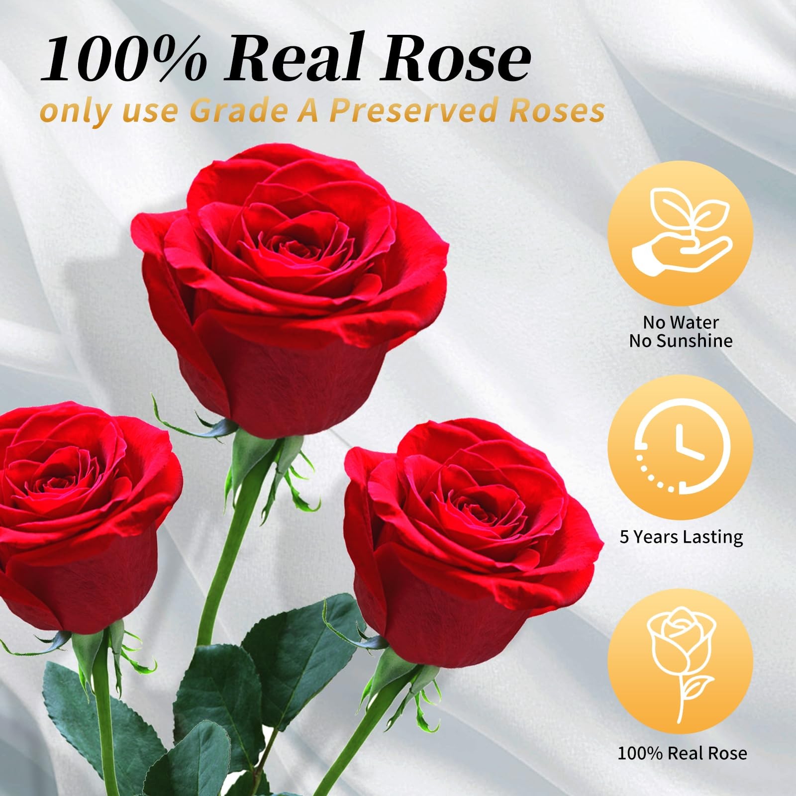 Purple Single Forever Roses Luxury Gift for /Men, Fresh Flowers Bouquet for G…