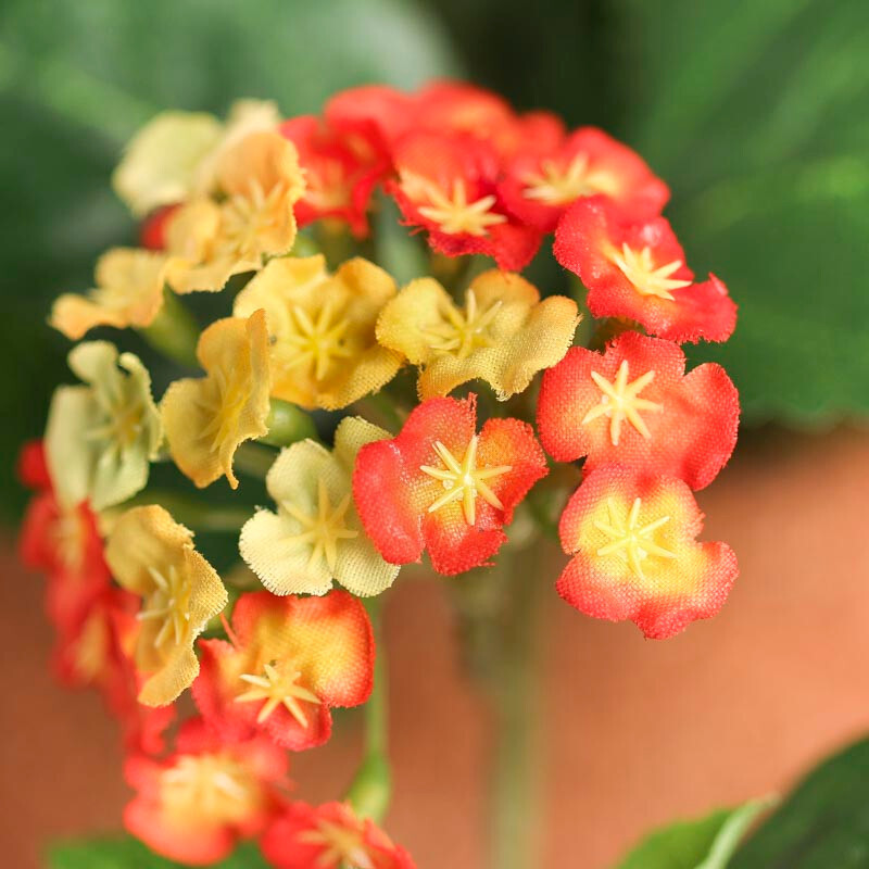 Set of 2 Yellow and Orange Artificial Sweet Allison in 13″ Planters