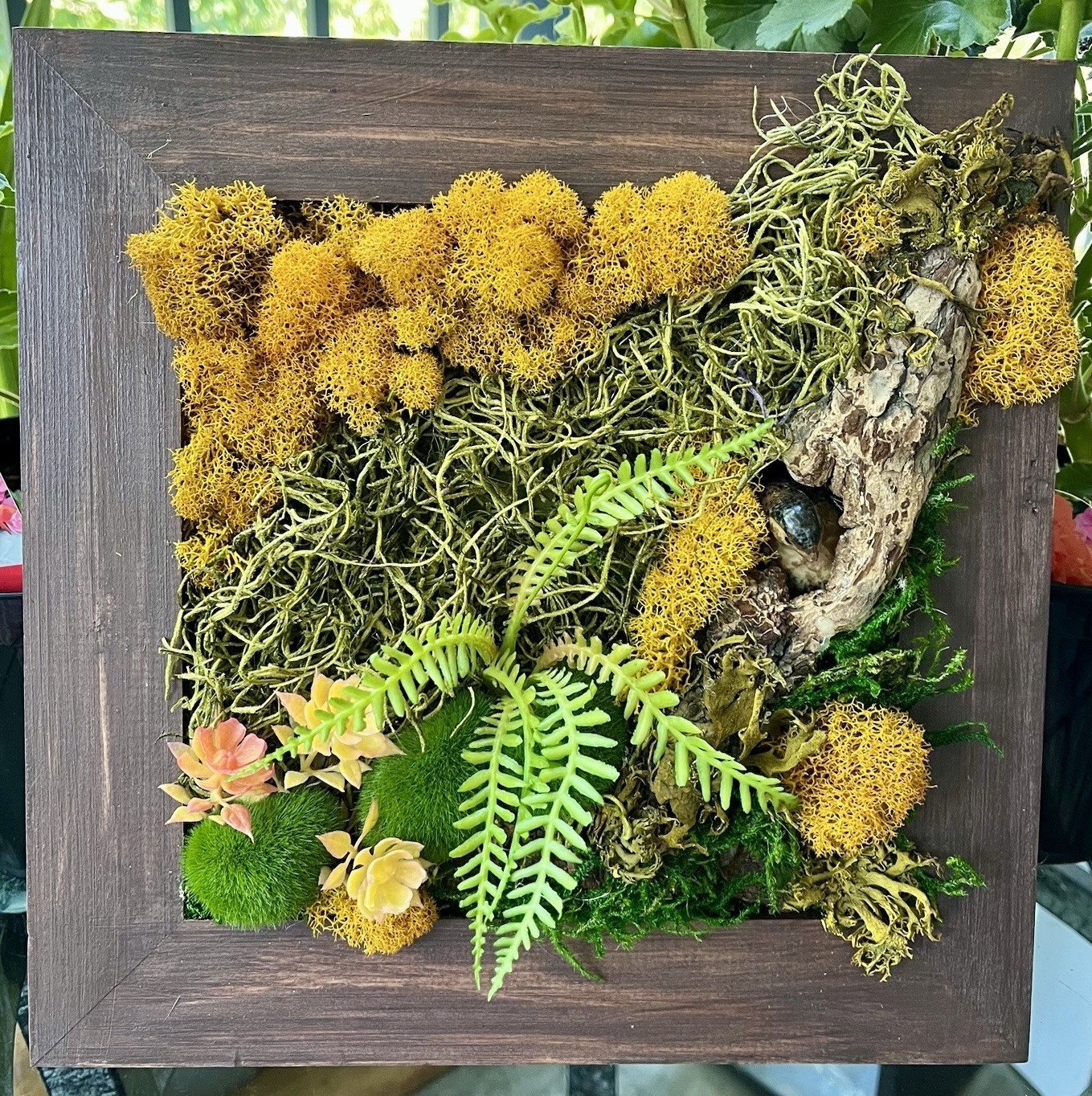 Framed Square Wood Moss Art Wall Decor w/ Succulents Fern Faux Greenery