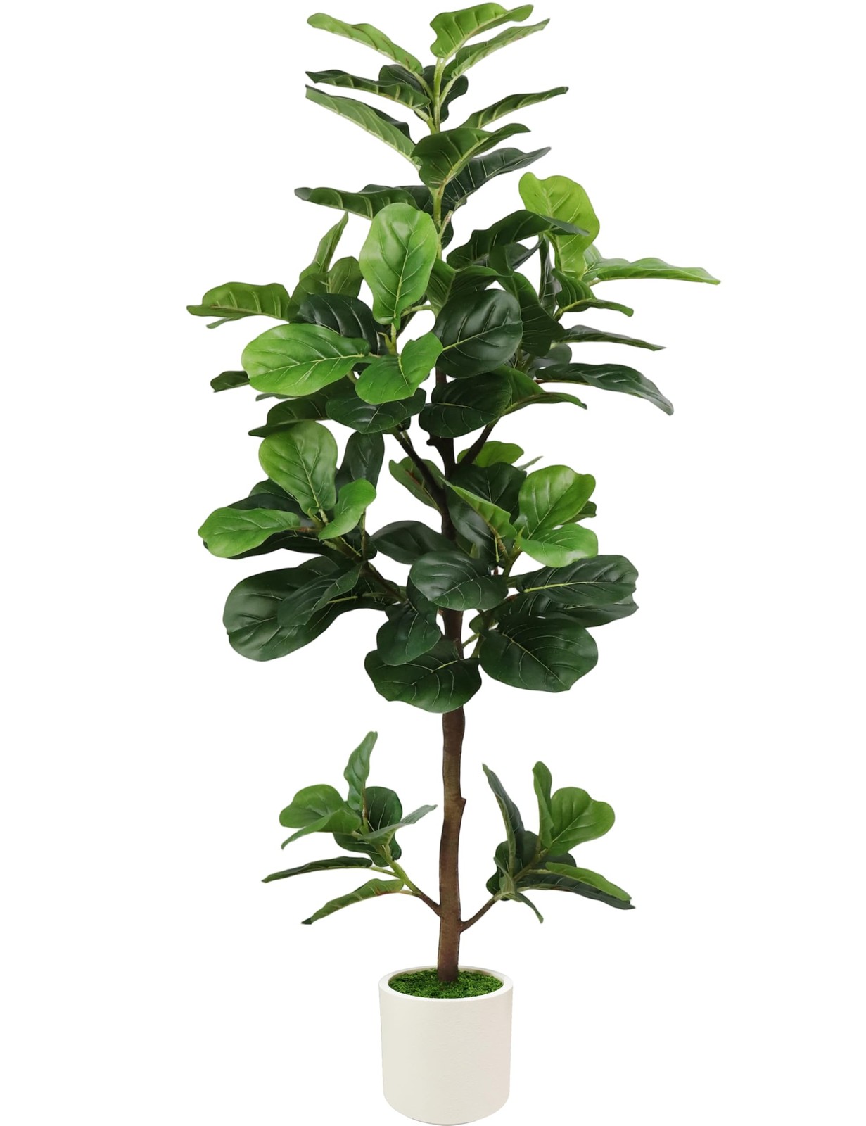 5FT Artificial Fiddle Leaf Fig Tree with White Planter & Fake Moss, Realistic…