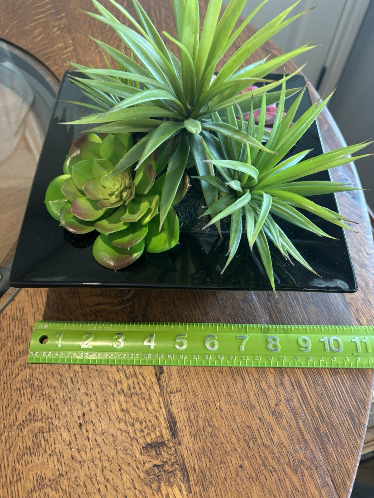 Pier 1 Imports Faux Succulent & Black Glass Organic Arrangement Retired