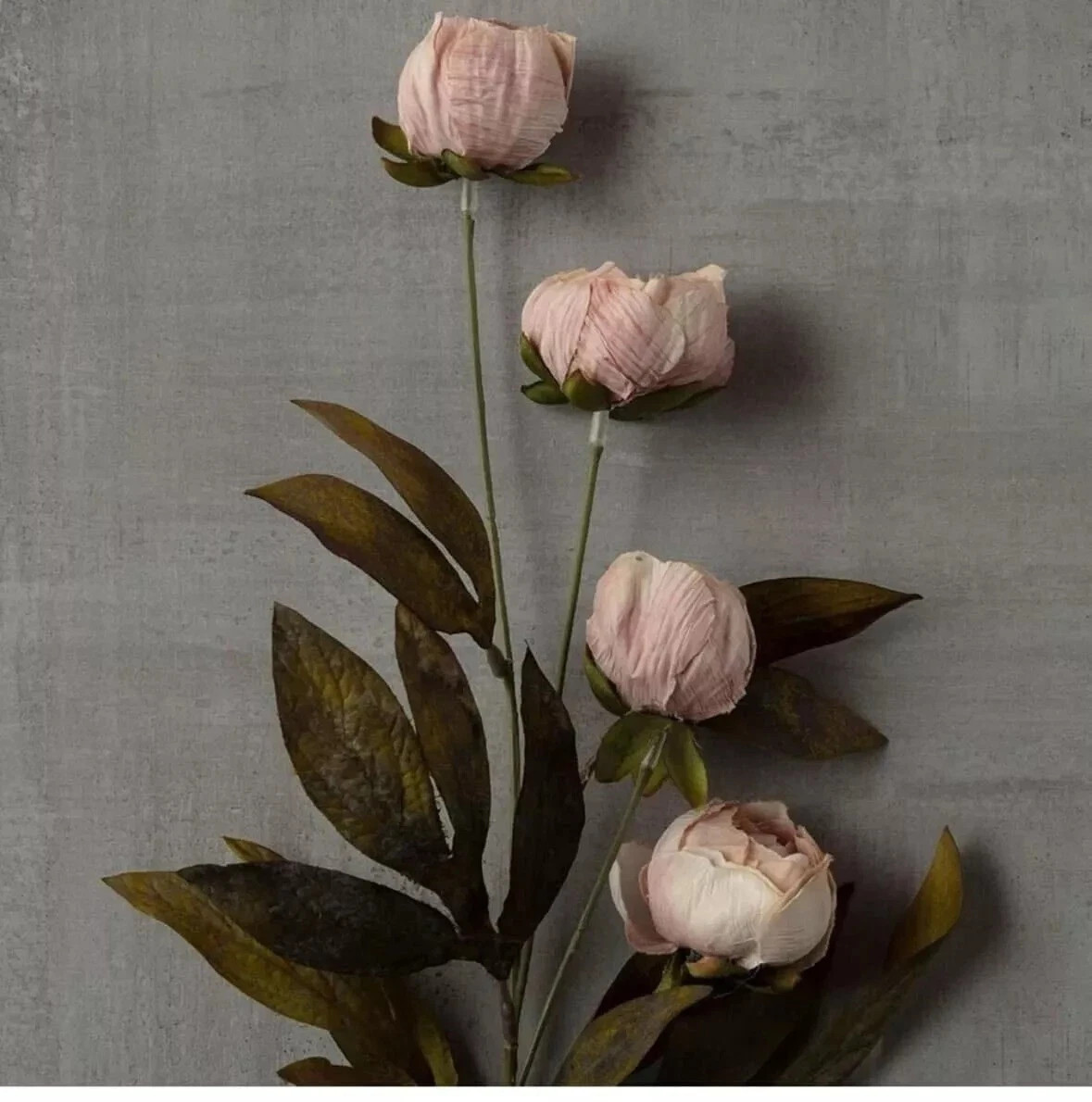 Michael’s Ashland Tan Peony Stems Set of 4 – TikTok Viral Faux Floral Decor