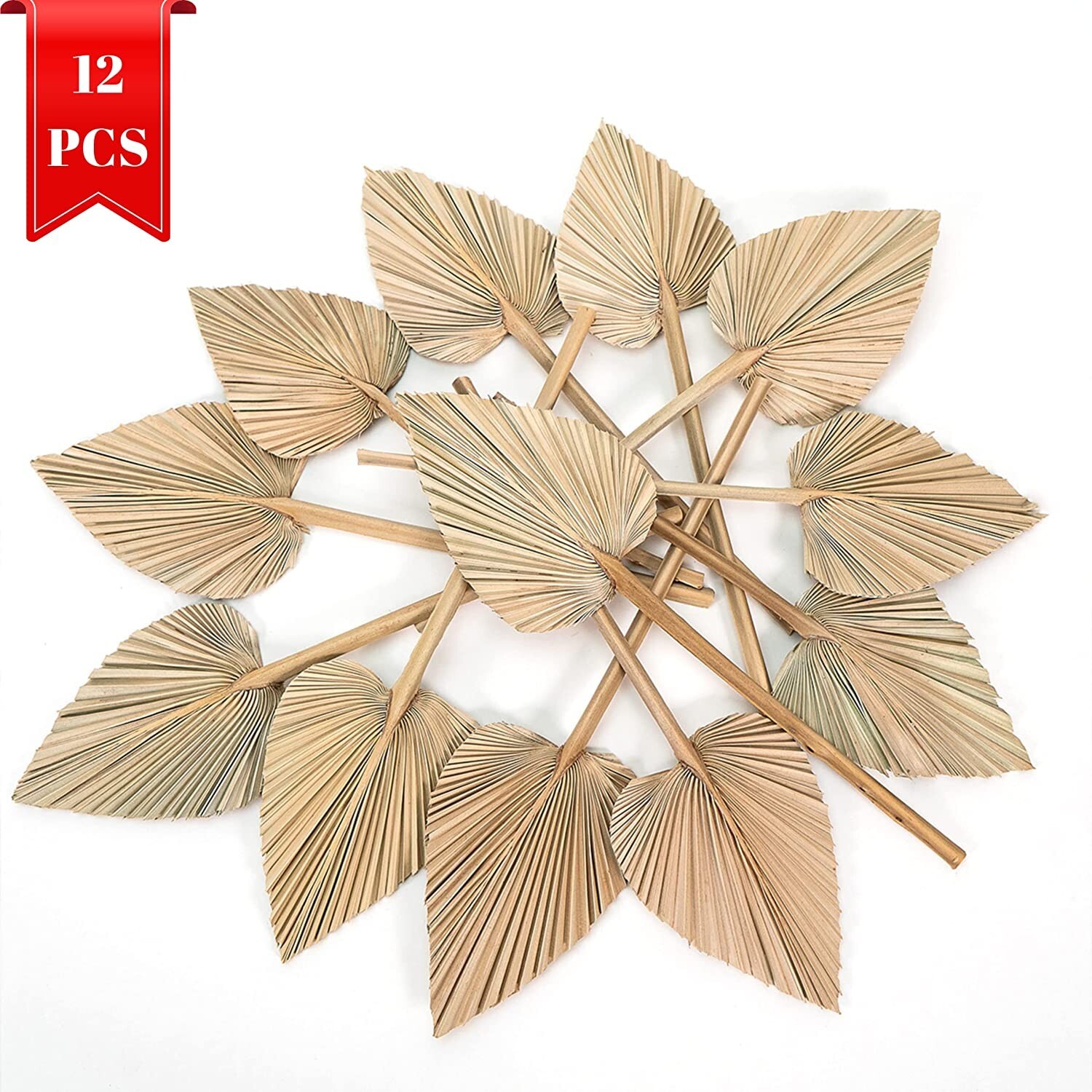 Dried Palm Leaves Pack of 12 Heart Oval Shape Dried Palm Spears