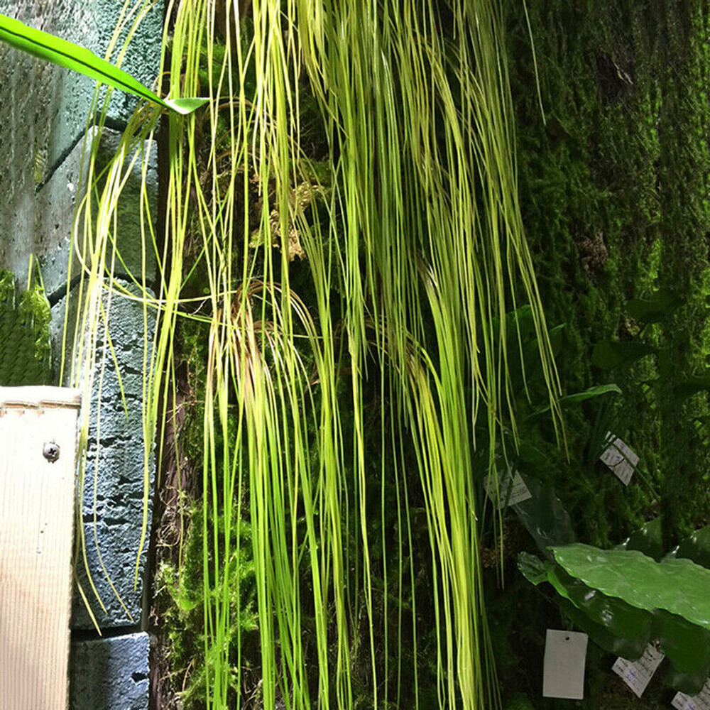 5X Artificial Plastic Grass Leaves Simulation Fake Plant Wall Hanging Home Decor