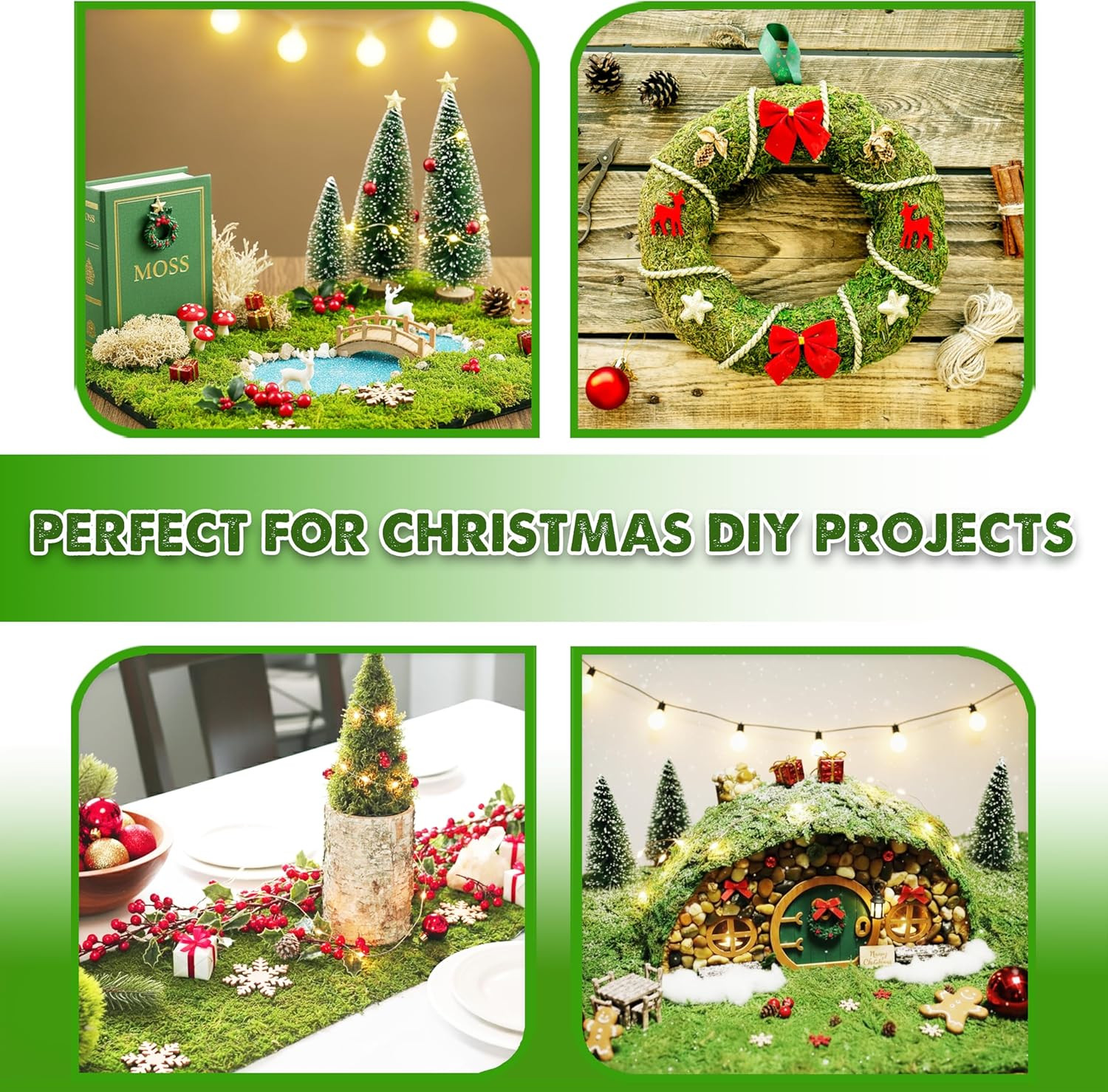 [Upgraded] Green Moss for Crafts, Real Forest Moss Potted Plants, Decorative Mo