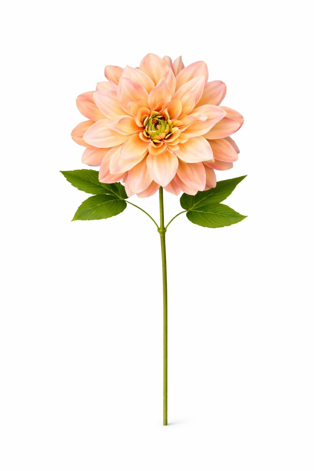 Peach Dahlia Stem Faux Flower 24 Inch 5 Inch Bloom Soft Peach Artificial Dahlia
