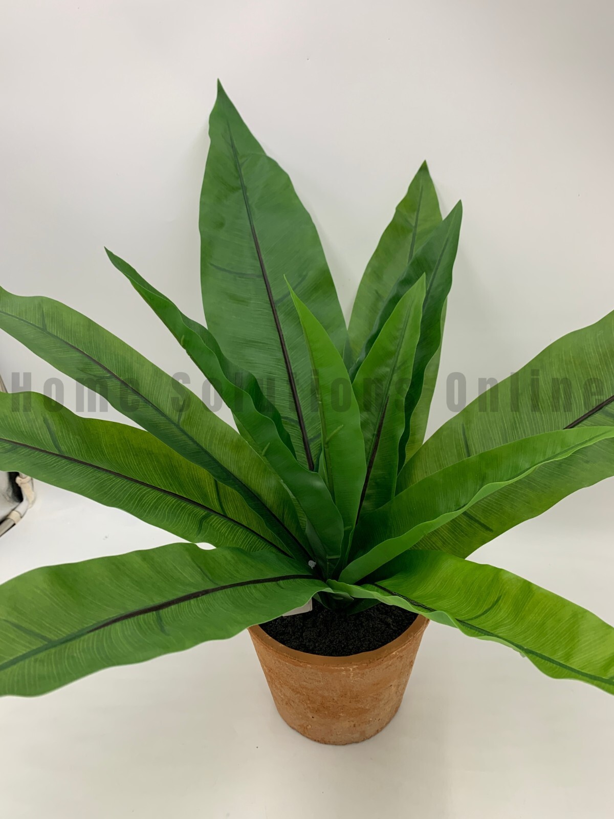 Pottery Barn Potted Terracotta Faux Fern Birds Nest Plant Large 18.5″ h #W700