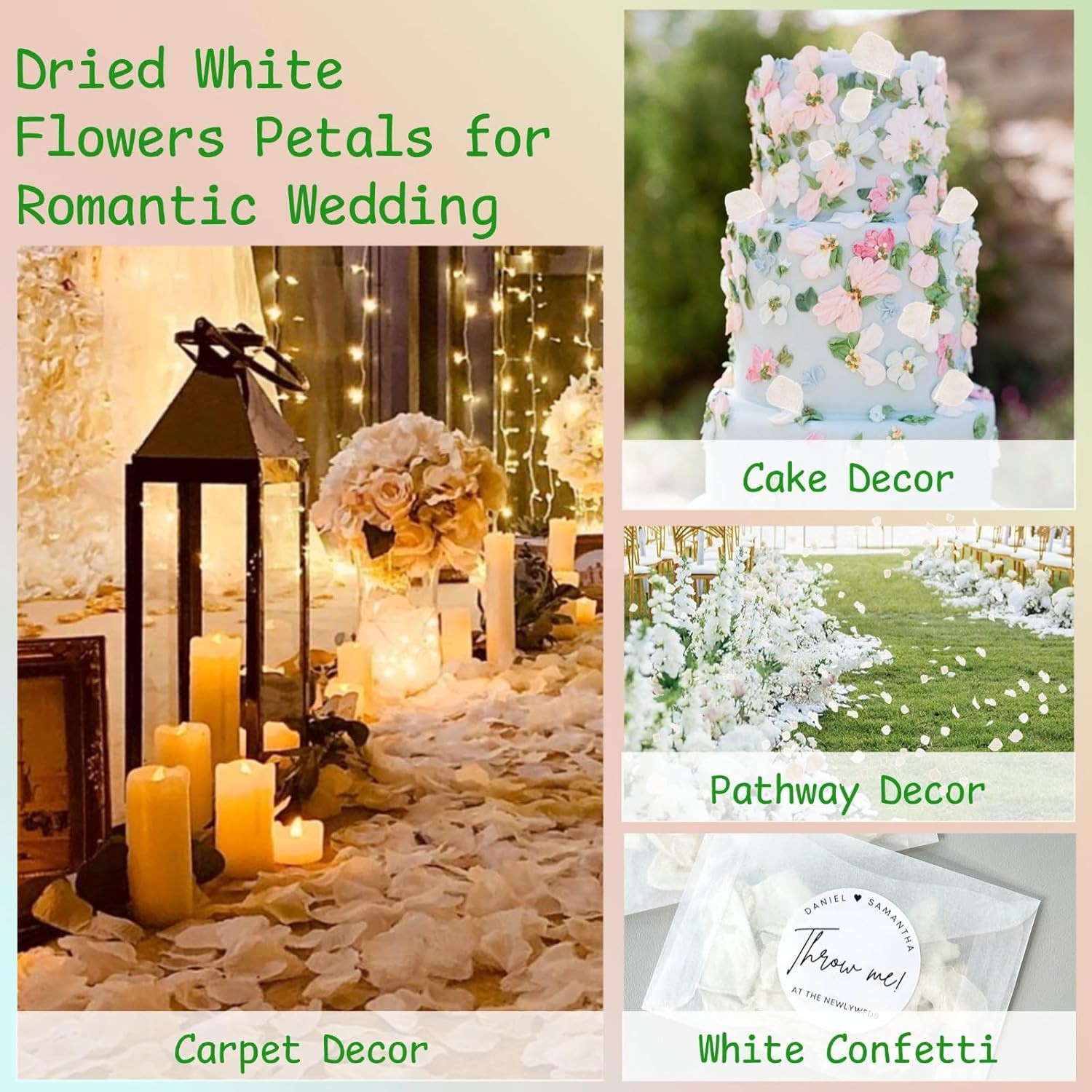 1500Pcs Real Dried Ivory White Hydrangea Flower Petals – Natural Smal Petals for