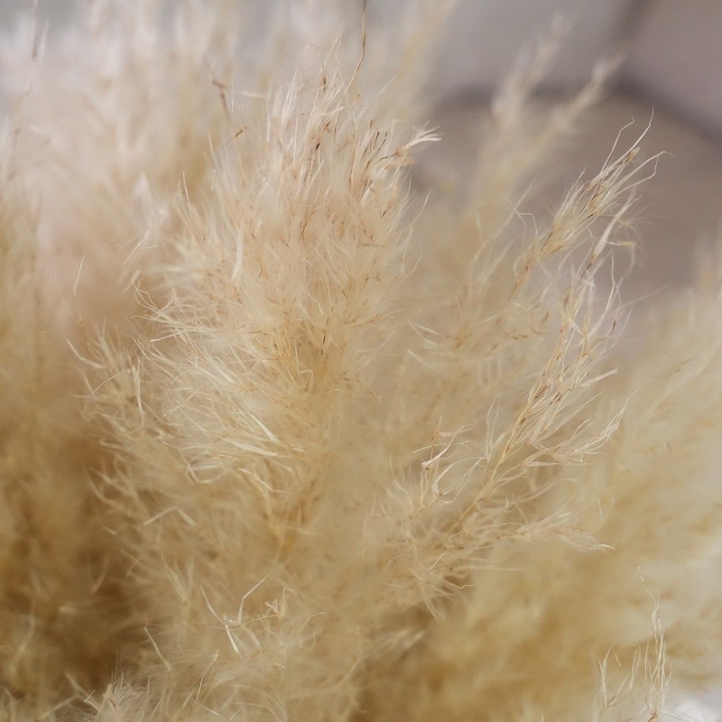 22″ Dried Pampas Grass Arrangement in Ceramic Vase Boho Home Decor Accent New