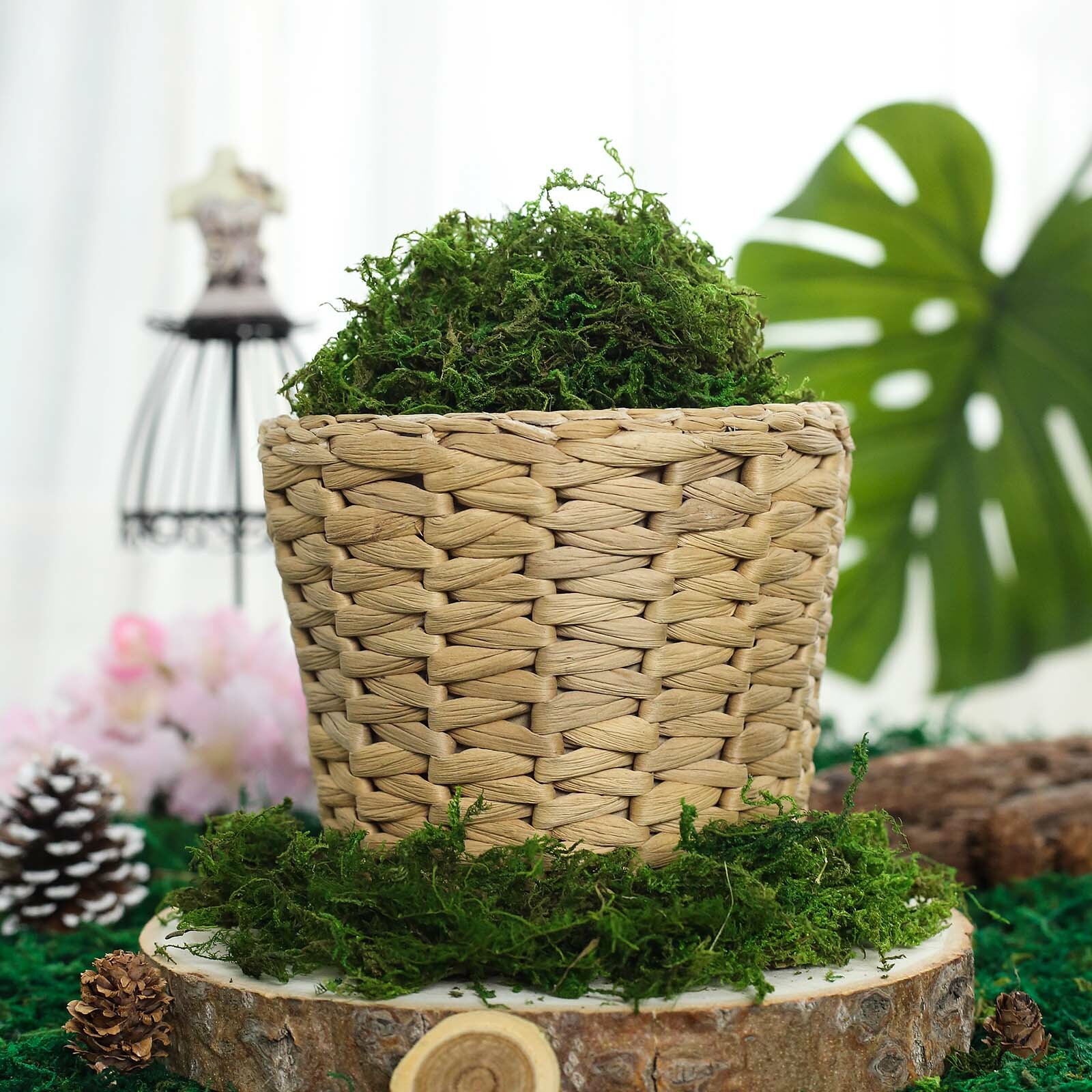 50 grams Green Natural Reindeer Moss Vase Fillers Wedding Party Decorations Sale