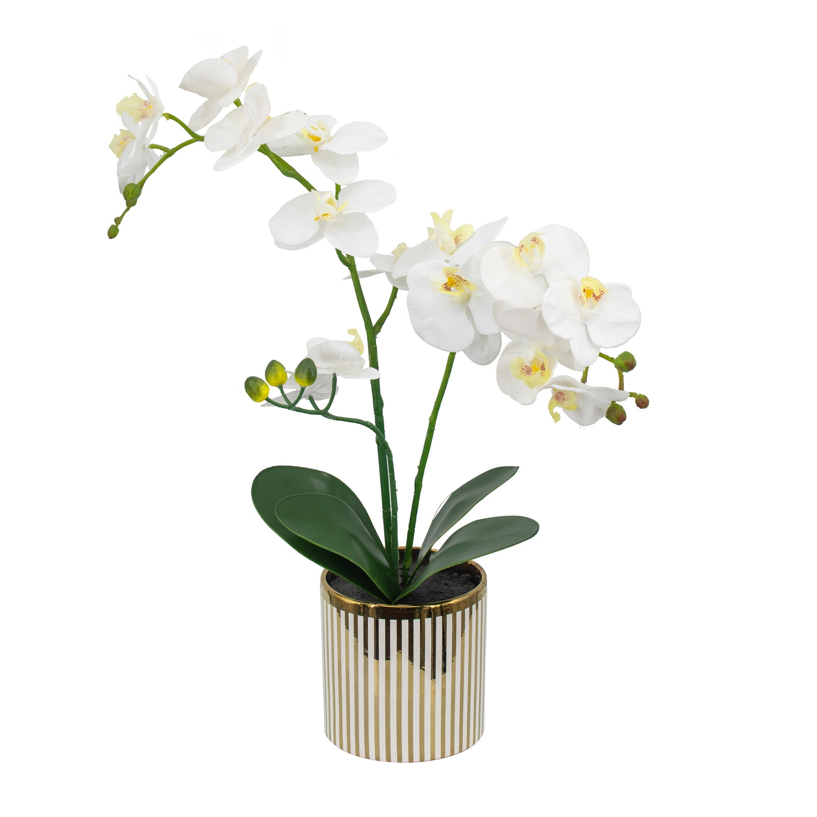 Artificial White Orchid Plant in Gold Striped Pot 20.5″H