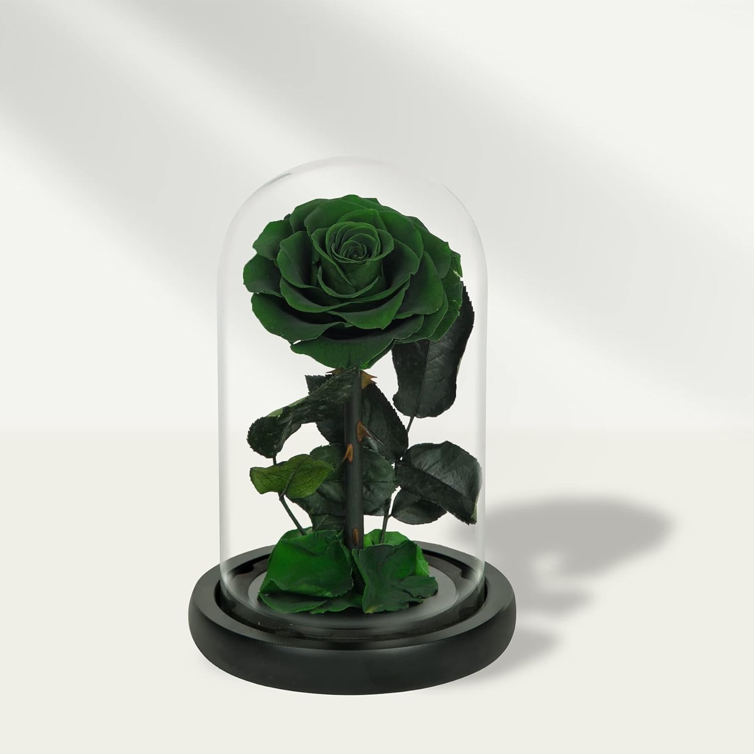 Elegant Handmade Preserved Roses in Glass Dome – Lasting Green Floral Gift