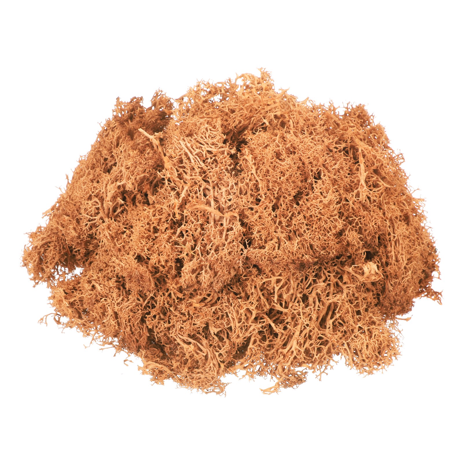 7.4oz Preserved Reindeer Moss, Orange Decorative Artificial Fake Moss