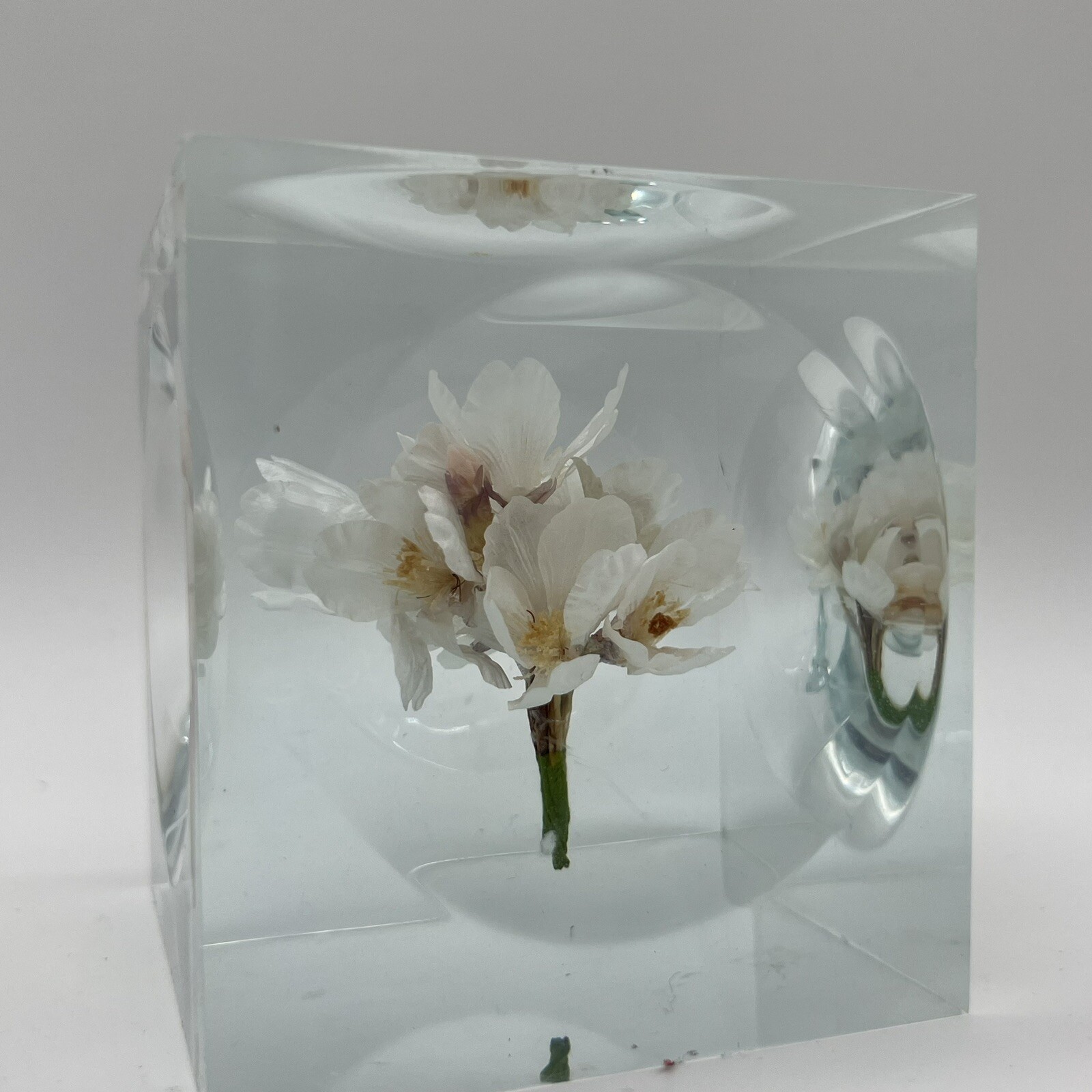 Crystal Clear Lucite Acrylic Large 3 3/4in” Sola Cube Cherry Blossom Flowers