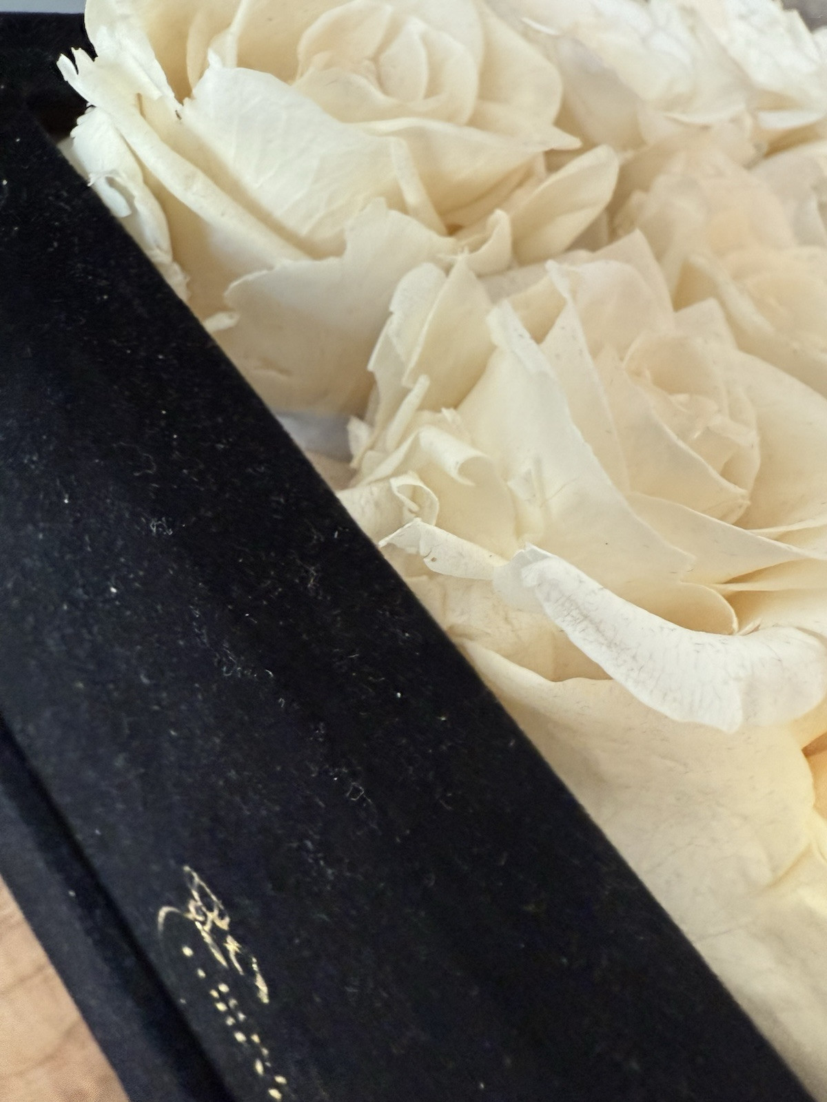 Rose Forever New York Real Preserved 16 White Roses Rose Black Velvet Square Box