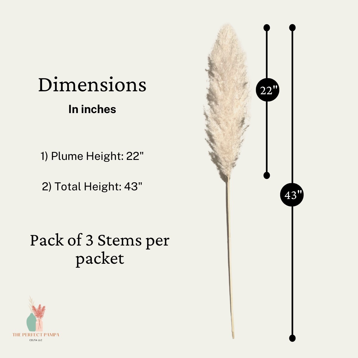 Dried Large Pampas Grass Decor Tall, 3 Pc Set, 43in/110cm