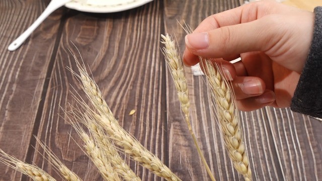 Dried Wheat Stalks Bundle – 1800 Stems Natural Grass for DIY Decor, Centerpieces