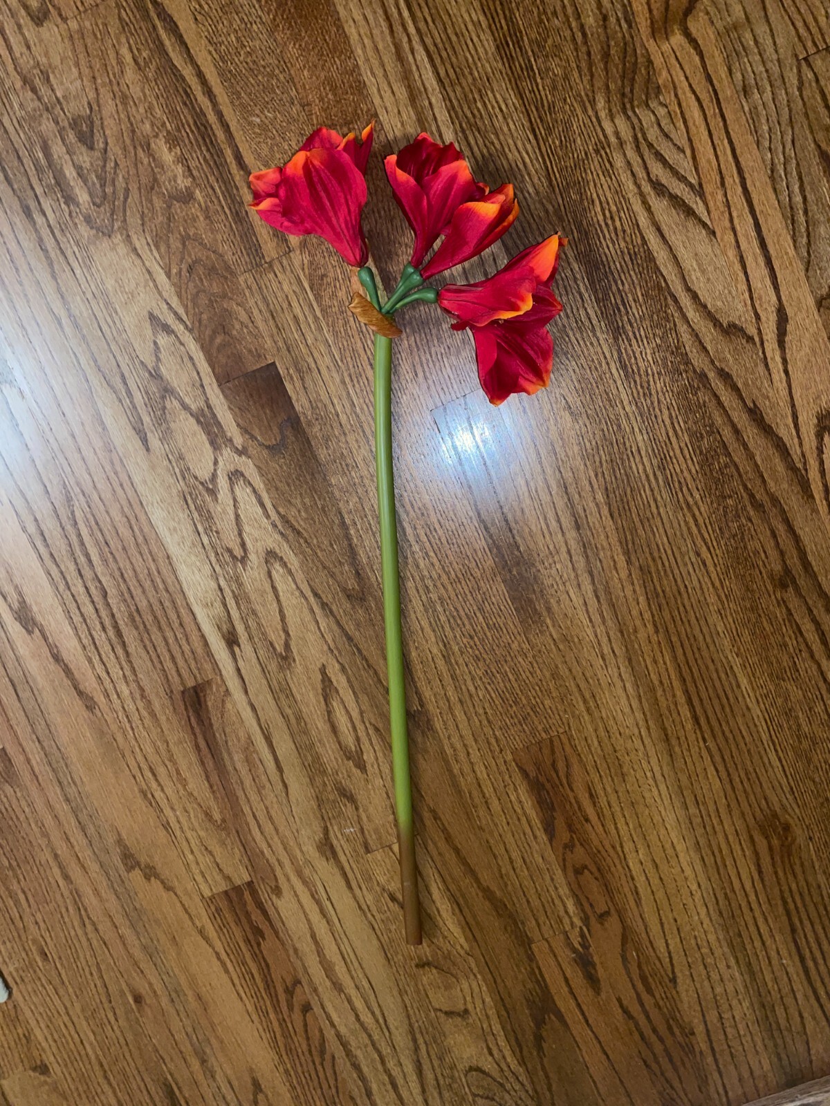 Pottery Barn Red Amaryllis Faux Flower Stem (1) Stem 26″-28″ Christmas Floral