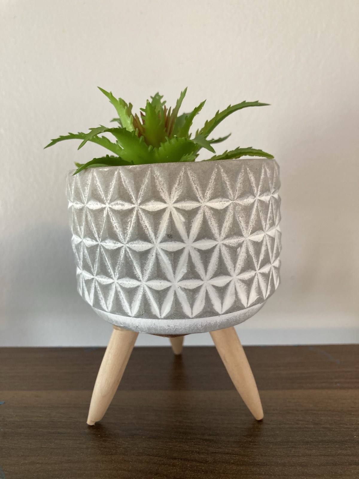 Succulent Tabletop Decor