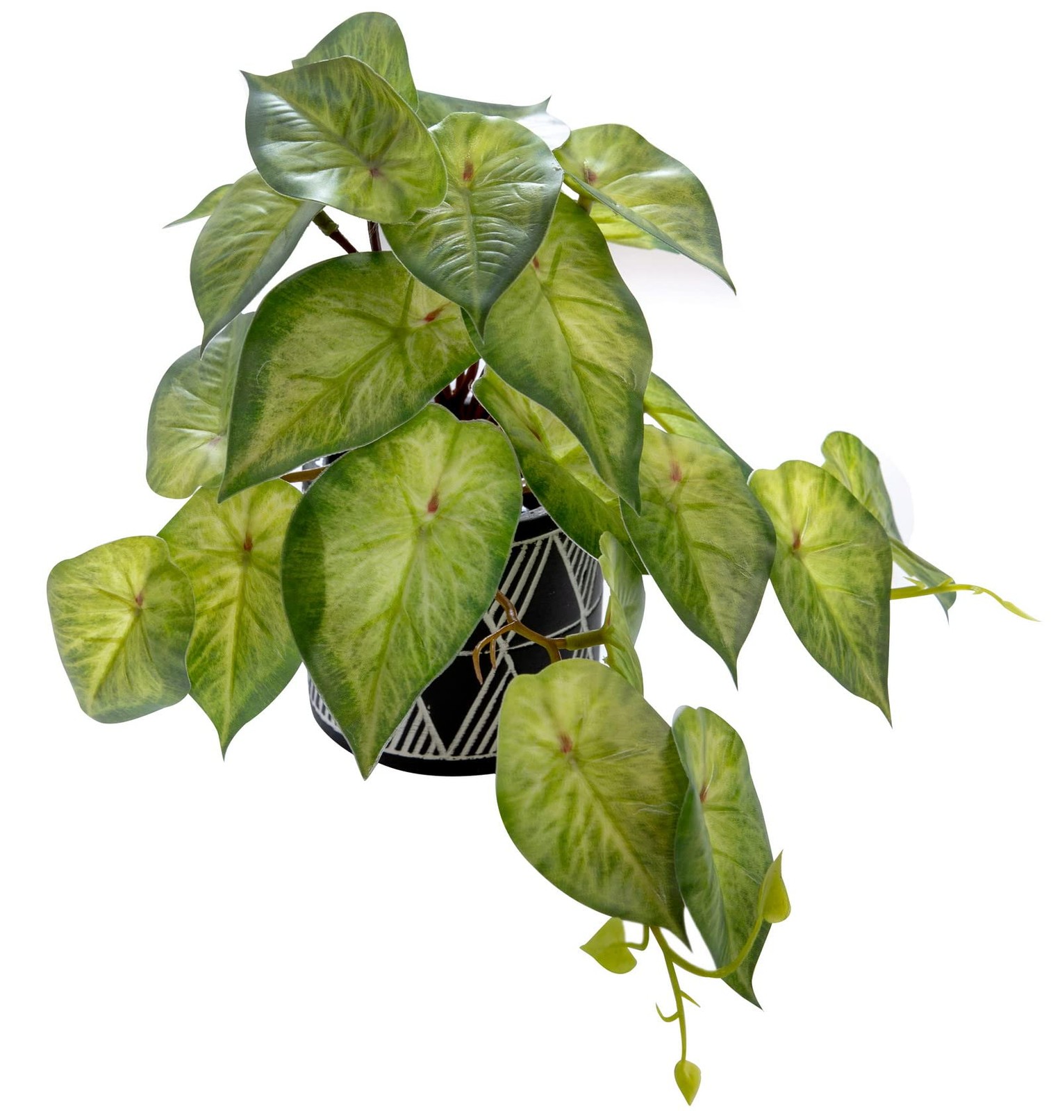 Small Ivy Plant Black White Geo Cement Pot Desk Decor