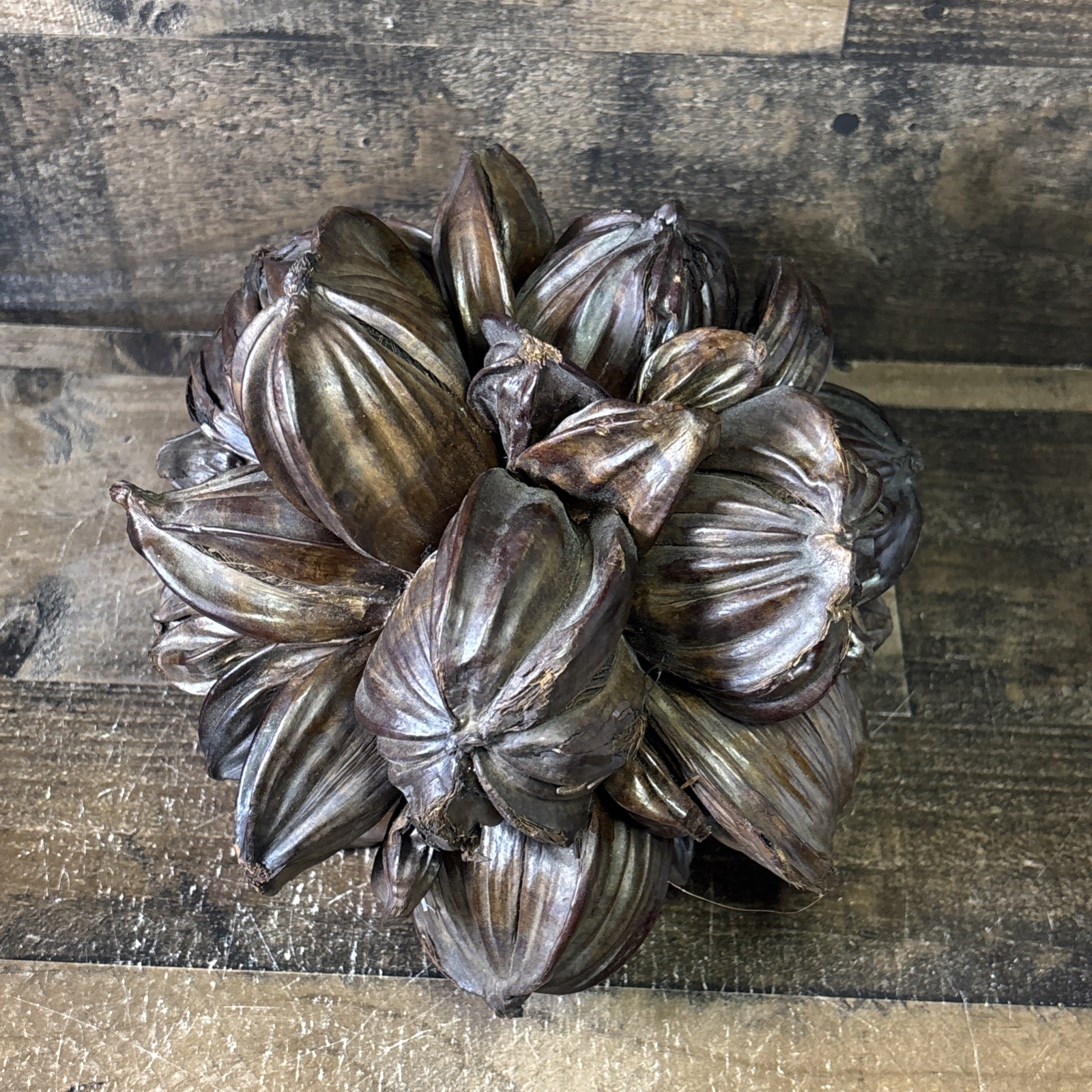 Vietnamese Water Coconut Nipa Palm Fruit Cluster Seed Pod Decor Decoration