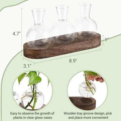 Desktop Plant Propagation Station Glass Planter Terrarium with Medium Brown