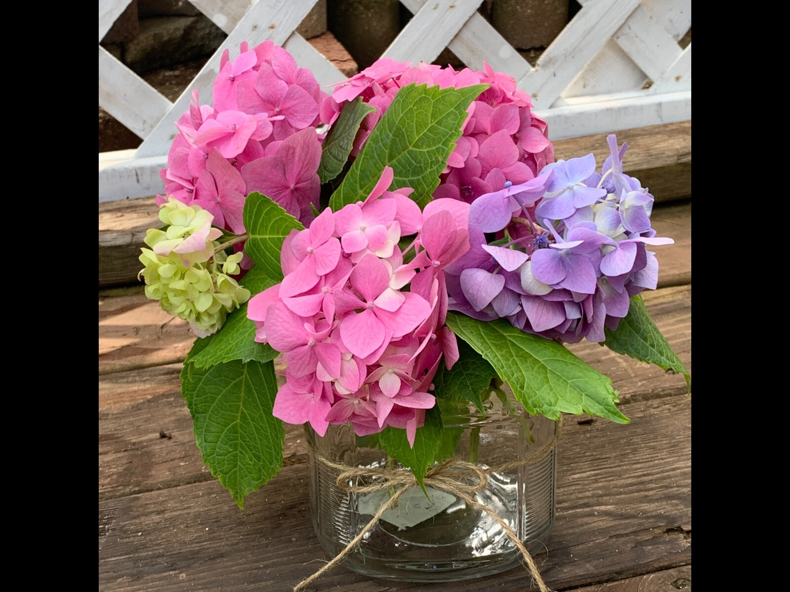 Fresh Cut Variety Flowers – Garden of Eden Flower Company
