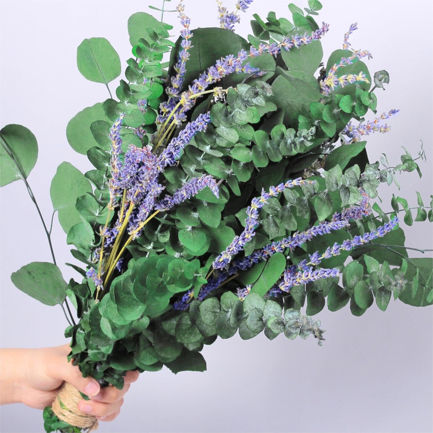 115 PCS Large Dried Preserved Eucalyptus Stems & Lavender Flowers Bundle for …