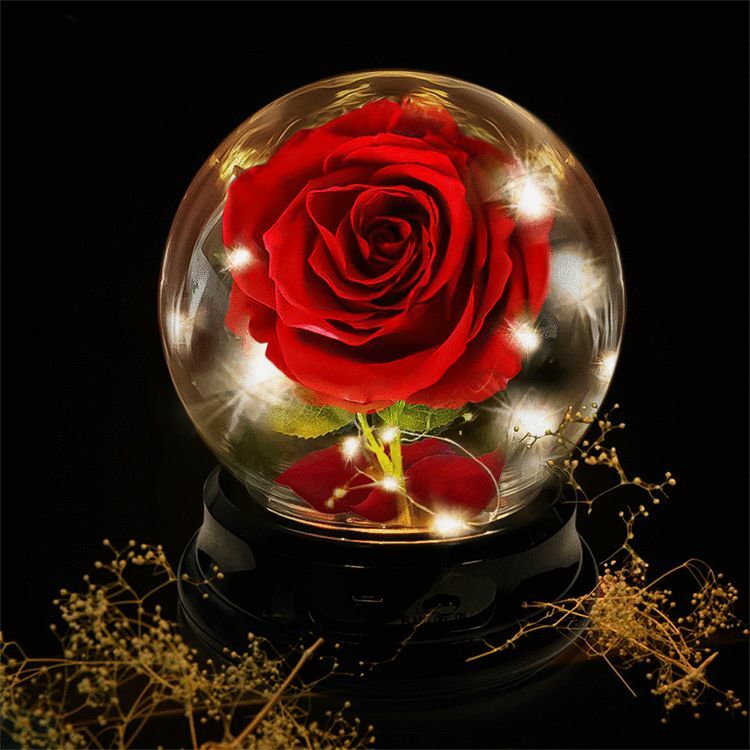 Flower Rose Preserved In Glass Mothers Day Birthday Gift Womens Girls Home Decor