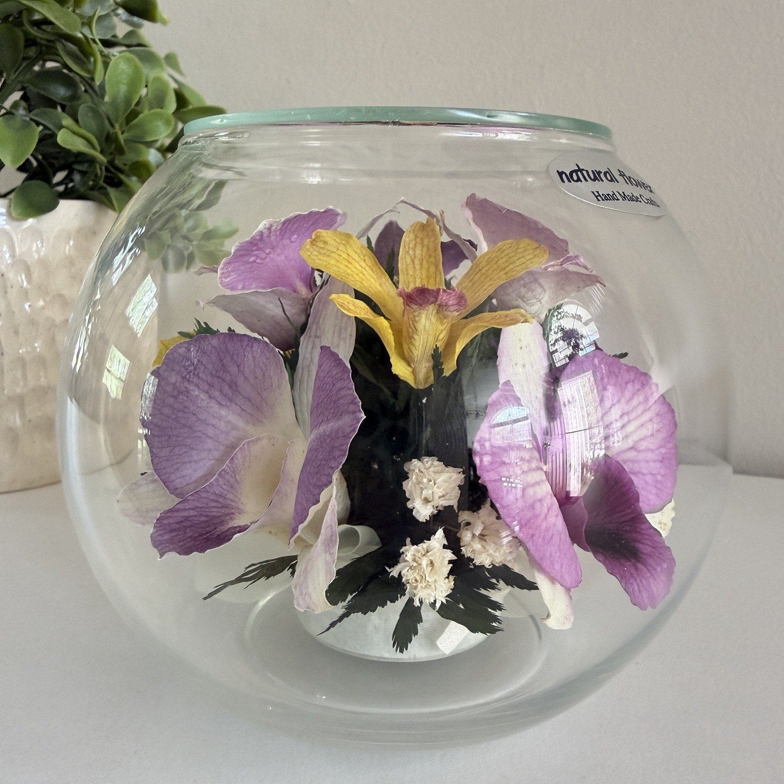 Real Preserved Flowers in Sealed Glass Bowl Floral Home Decor Purple Orchid