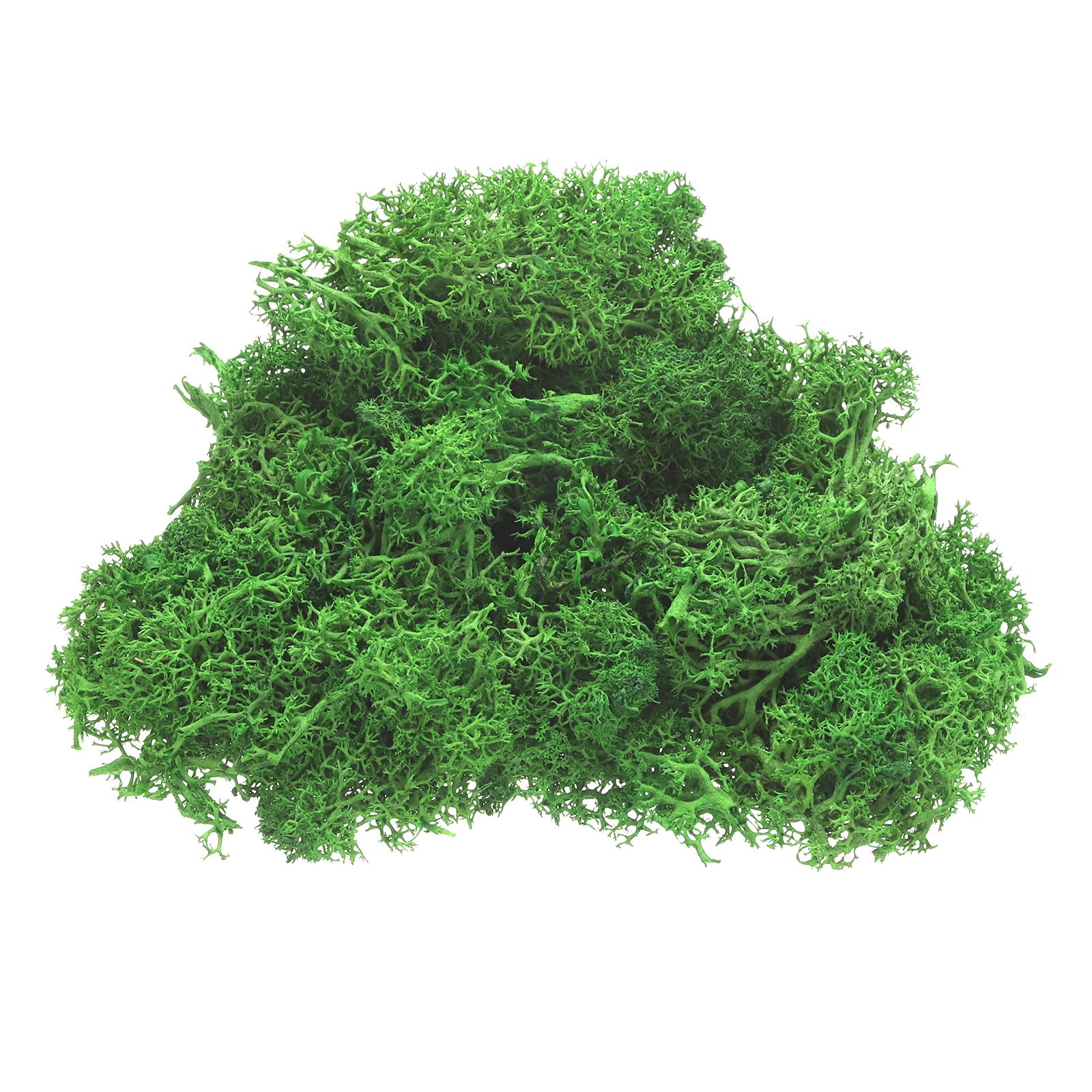 Pack of 1 Preserved Reindeer Moss 4 OZ Fake Moss for Crafts Green