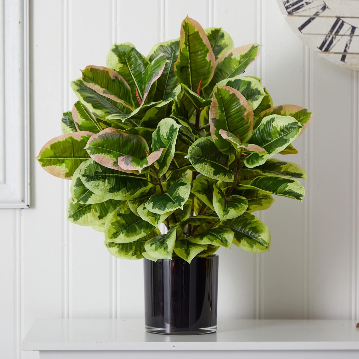 Real Touch Artificial Rubber Plant in Stylish Glossy Cylinder Pot