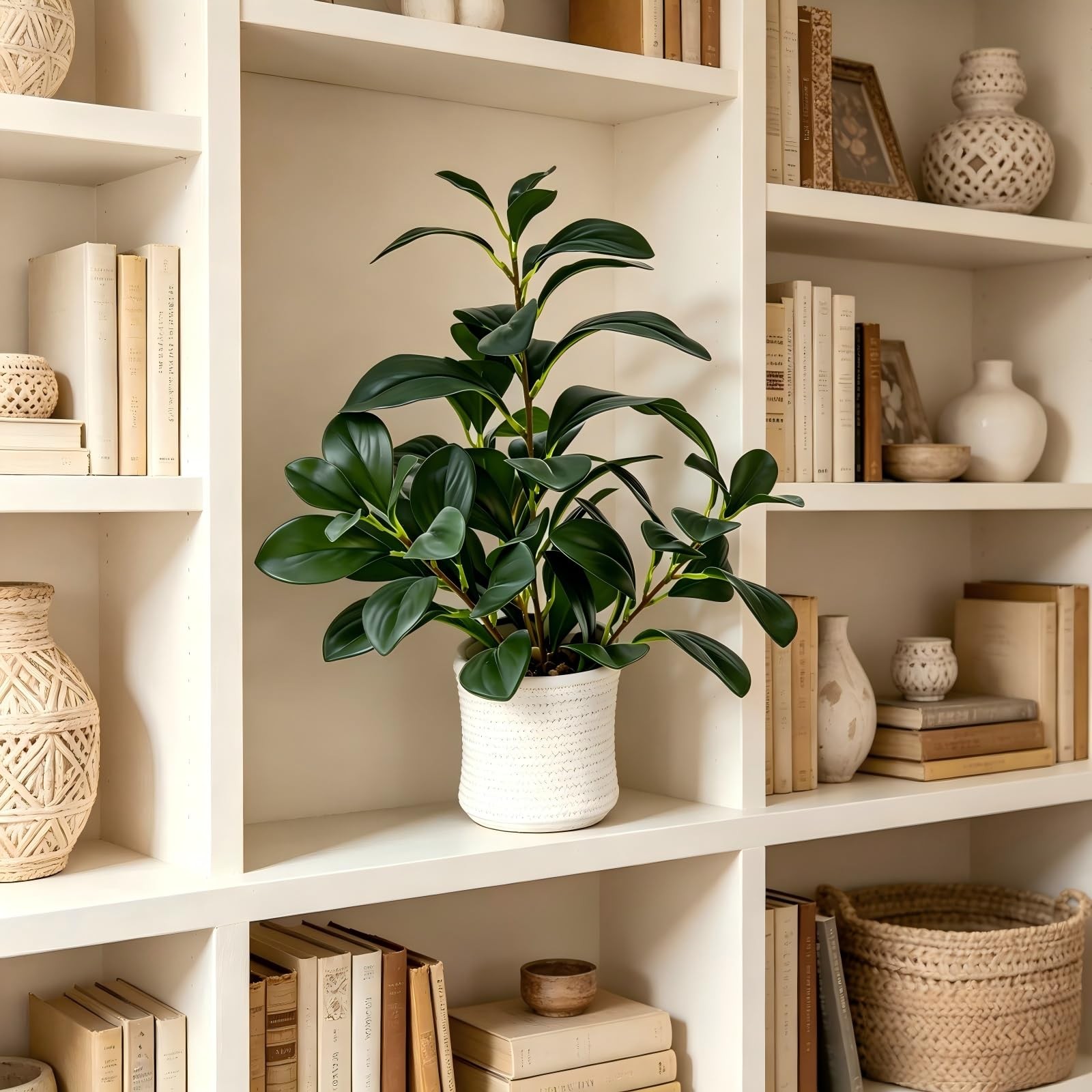16 inch Artificial Indoor Plants Office Desk Faux Plant Peperomia Leaf Ficus …