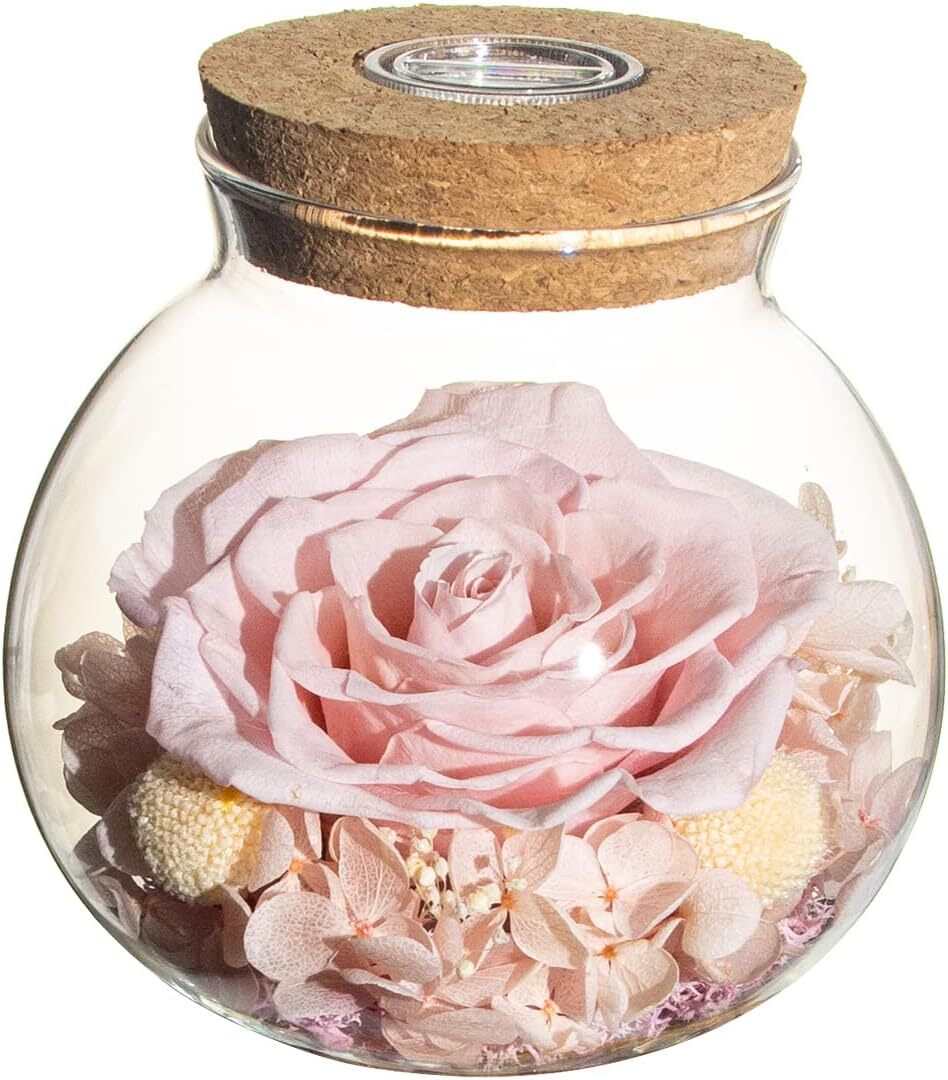 Preserved Real Roses with Colorful Mood Light Wishing Bottle, Eternal Rose，Never
