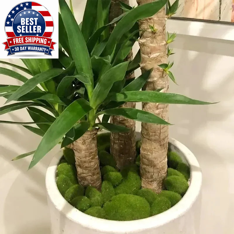 10Pcs Simulation Moss Stone Artificial Moss Rocks Ball Fake Green Plant for Home