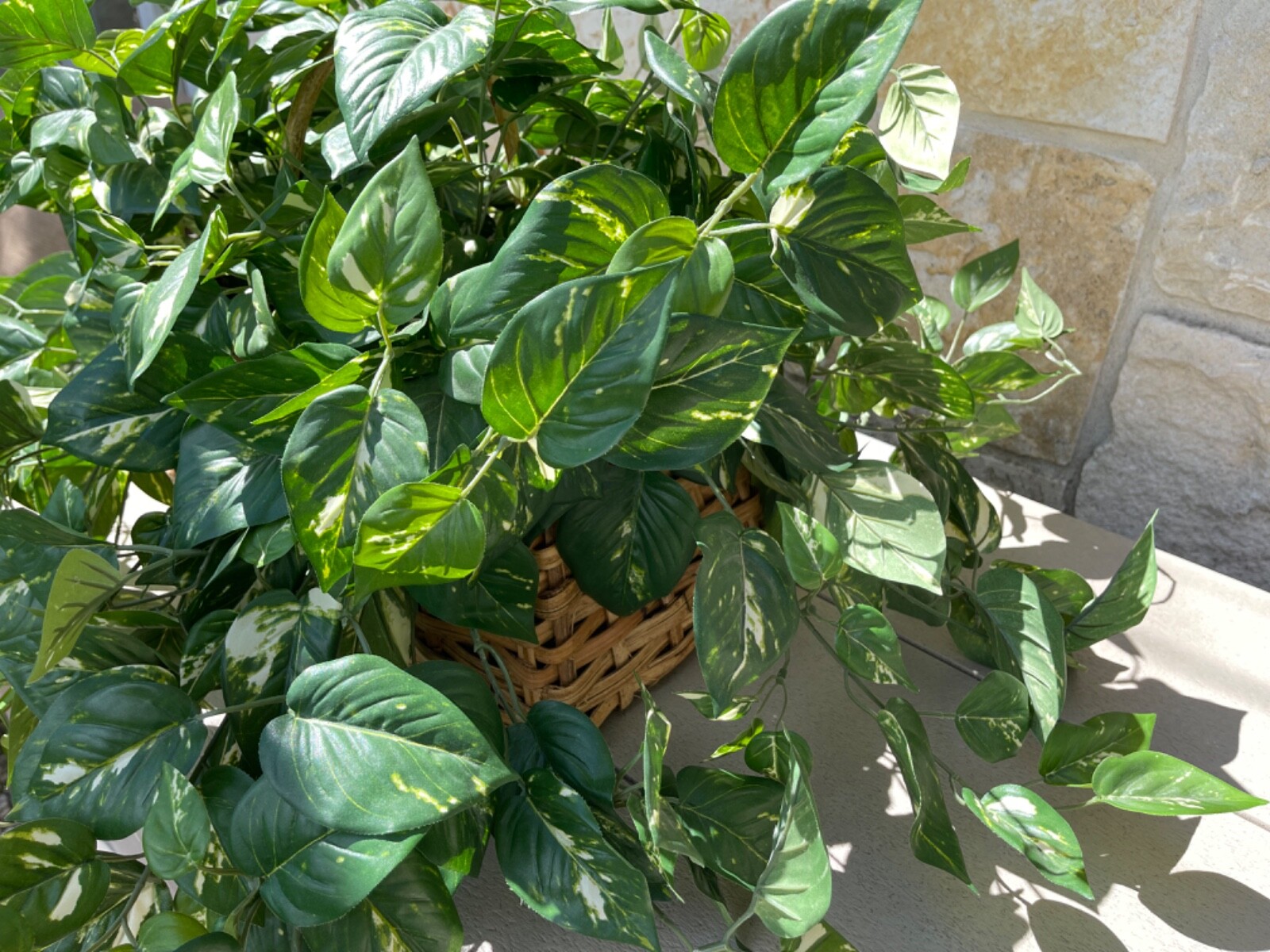 Large Artificial Variegated Philodendron in Handled Woven Bamboo Basket