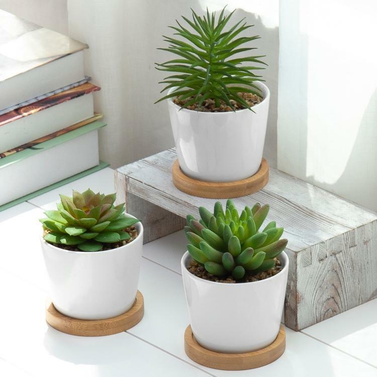 Set of 3 Artificial Succulent Plants in White Ceramic Pots with Bamboo Saucers