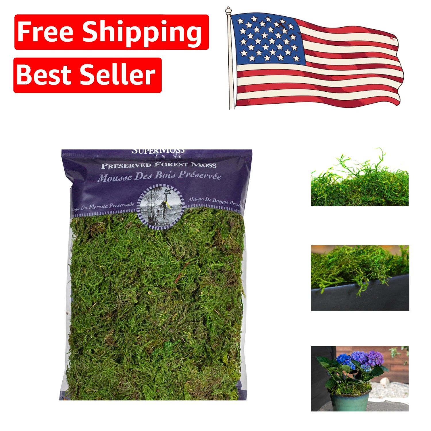 Versatile 8oz Fresh Green Moss – Perfect for Plant Bases and Floral Designs