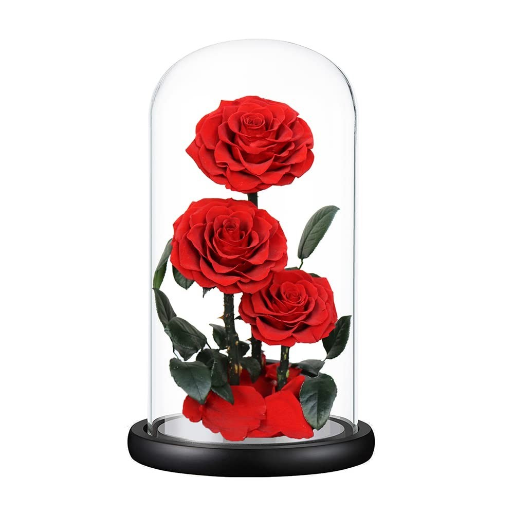 Perfectione Roses Handmade Preserved Rose in Glass Dome – Red Birthday Gift for