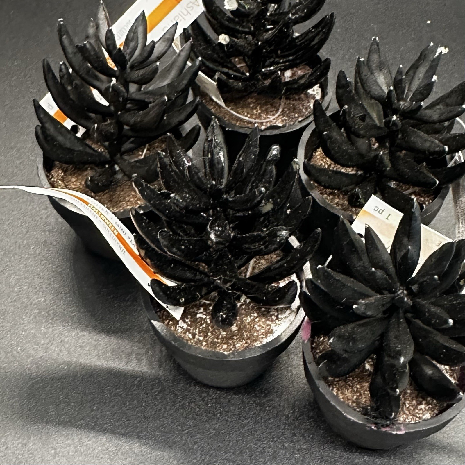 25 Mini Artificial Succulent Plant Lot Potted Black Green Purple Halloween Craft