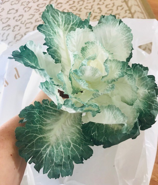 Faux Floral Ornamental Cabbage Set 8 Green Large 11.5 Farmhouse Garden Easter🦩