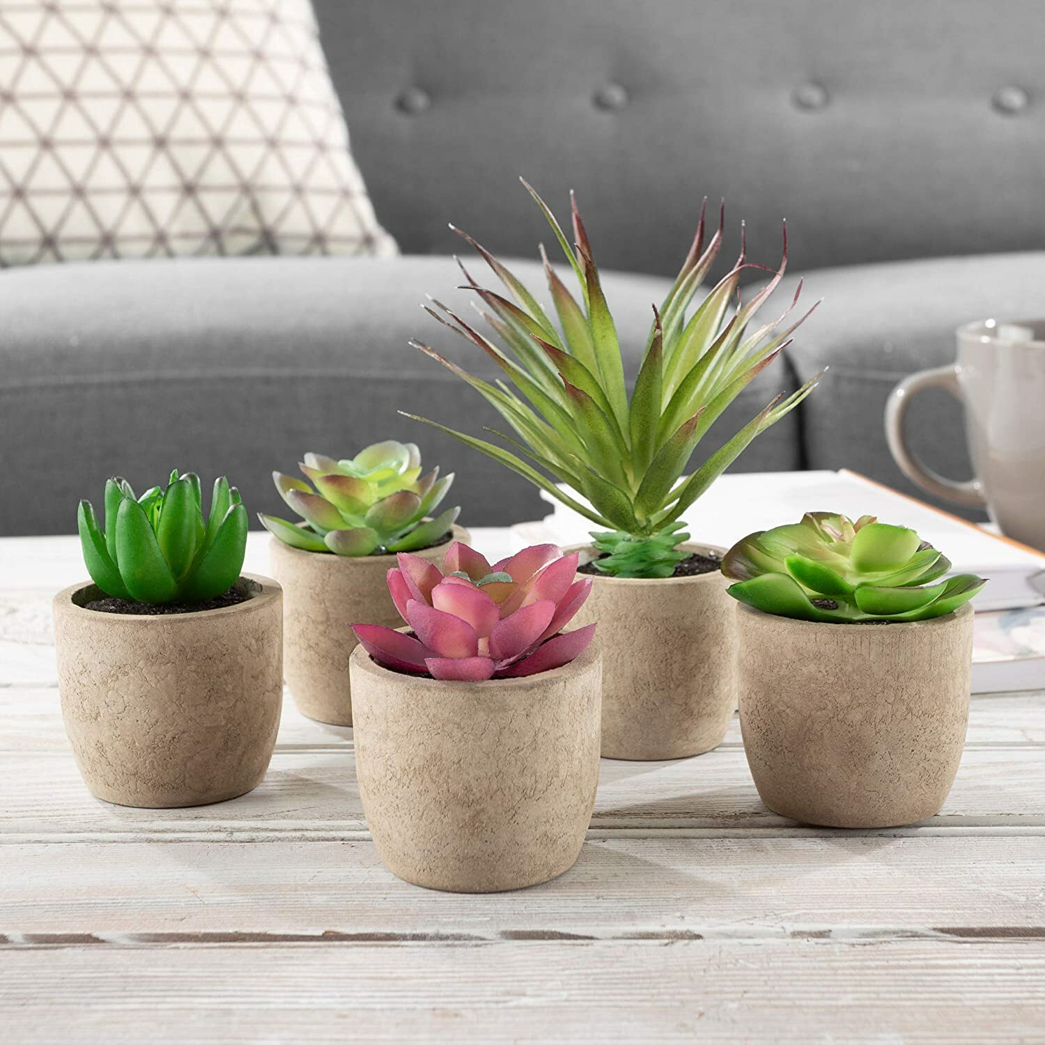 Pure Garden Faux Succulents Set of 5 Assorted Lifelike Plastic Greenery in Stone