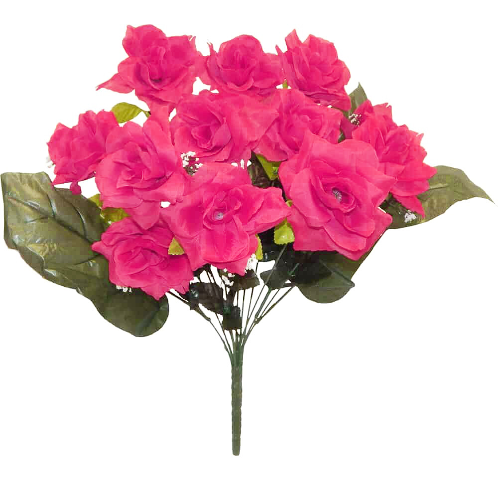 Open Rose Bush 12 Stems 21in Fuschia
