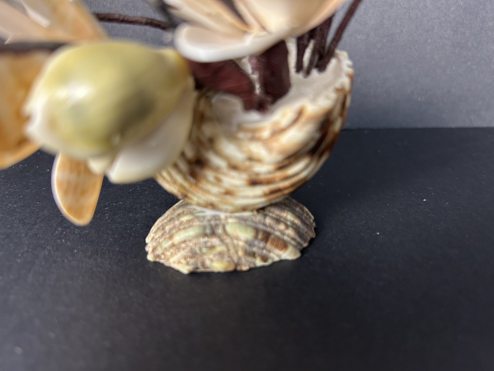 Vintage Cottagecore Kitschy Hand Made Sea Shell Floral Arrangement 6”x4”