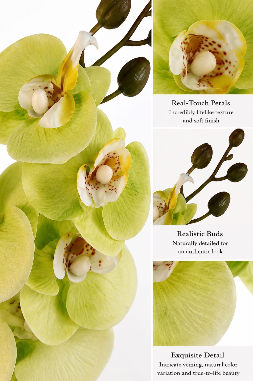 Real Touch Cymbidium Orchid Stem | Green Artificial Orchid | 31 Inch Faux Floral