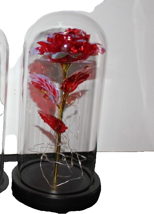 Red Eternal Rose w LED Lights in Glass Dome Mothers Valentines Anniversary Gift